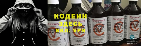 ГАЛЛЮЦИНОГЕННЫЕ ГРИБЫ Михайлов