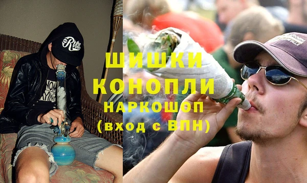 ГАЛЛЮЦИНОГЕННЫЕ ГРИБЫ Михайлов