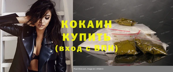 ГАЛЛЮЦИНОГЕННЫЕ ГРИБЫ Михайлов