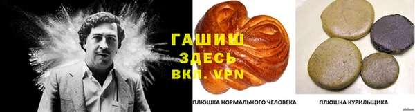 ГАЛЛЮЦИНОГЕННЫЕ ГРИБЫ Михайлов