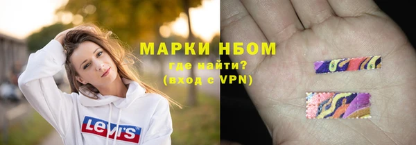 ГАЛЛЮЦИНОГЕННЫЕ ГРИБЫ Михайлов