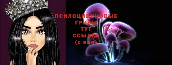 ГАЛЛЮЦИНОГЕННЫЕ ГРИБЫ Михайлов
