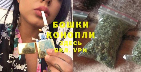 ГАЛЛЮЦИНОГЕННЫЕ ГРИБЫ Михайлов