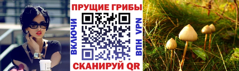 маркетплейс как зайти  Топки  Галлюциногенные грибы ЛСД 