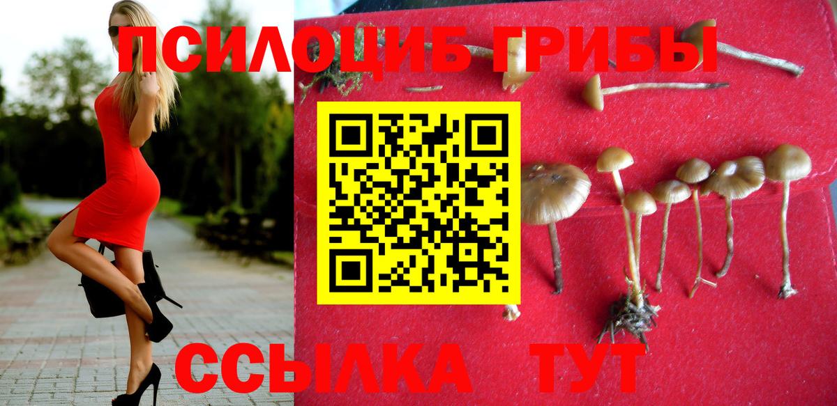 Галлюциногенные грибы MAGIC MUSHROOMS  Псилоцибиновые грибы MAGIC MUSHROOMS  Топки 