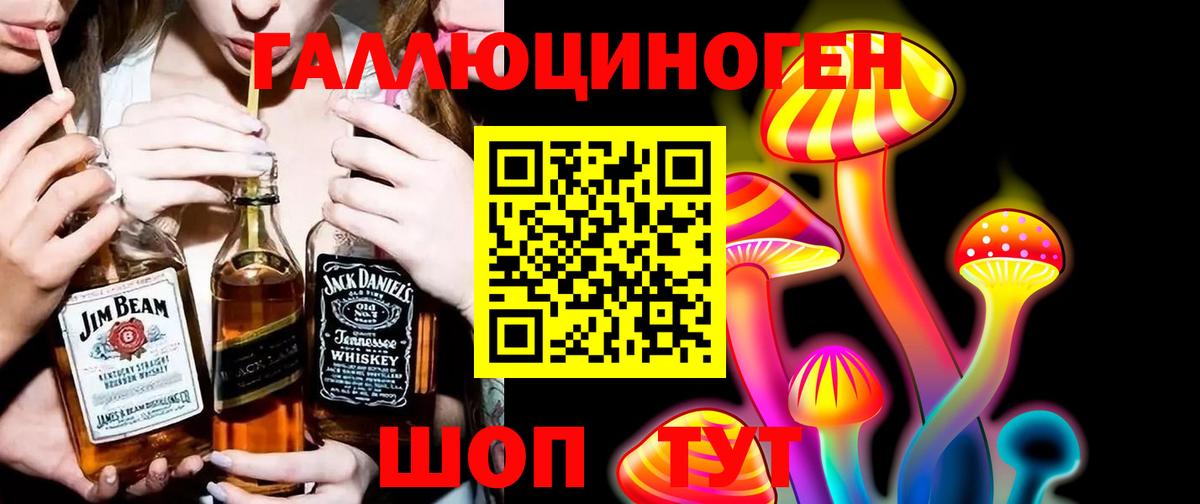 Псилоцибиновые грибы Psilocybine cubensis  Вход с VPN  Топки 