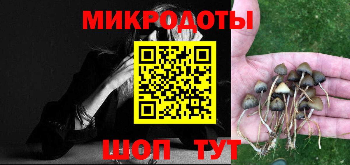 Галлюциногенные грибы мухоморы Топки