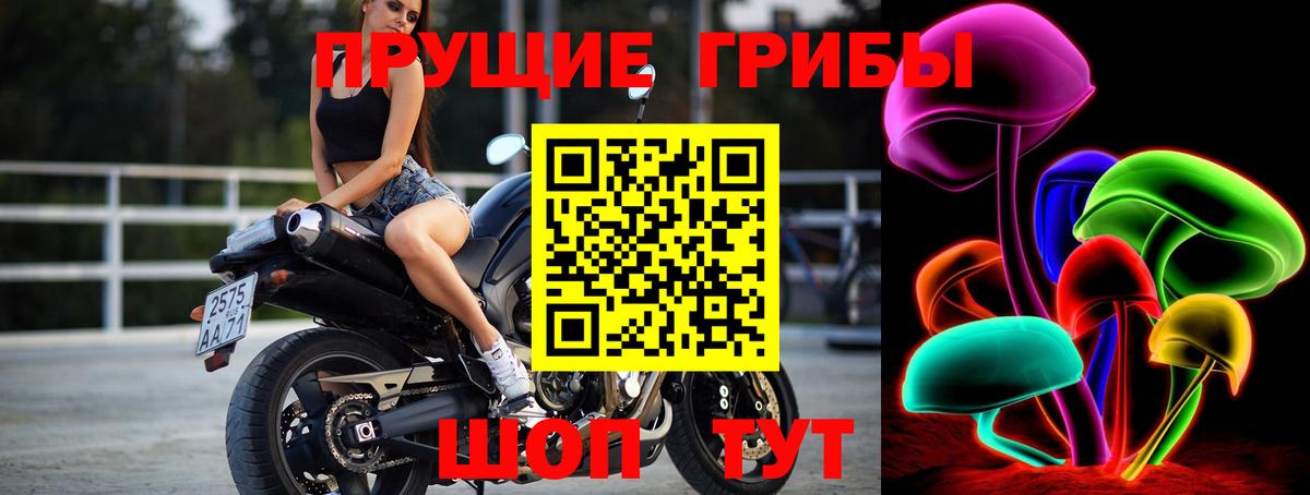 Псилоцибиновые грибы Psilocybine cubensis Топки